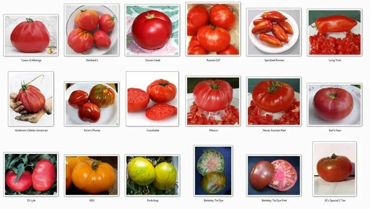 Каталог помидоров с фото и описанием A great list of all types of tomatoes. Types of tomatoes, Types of potatoes, Tom