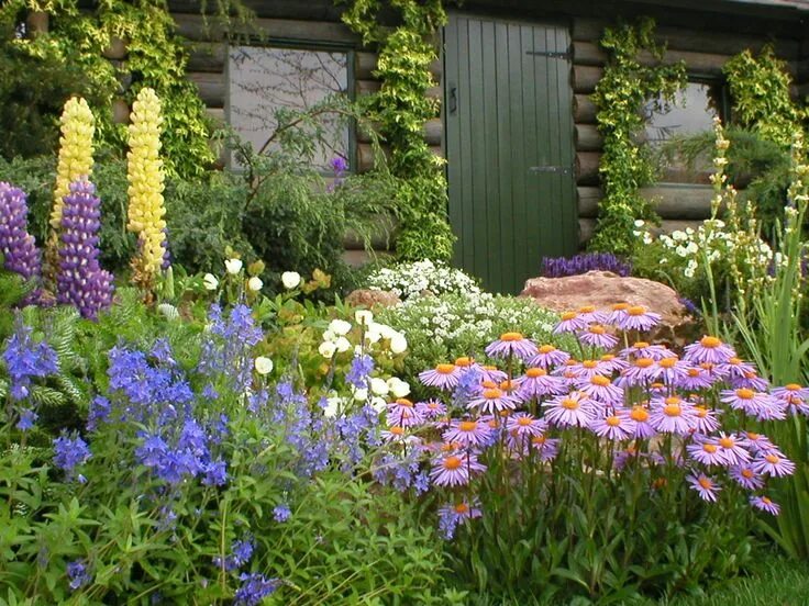 Каталог цветов для дачи с фото cottage design flowerbed - Yahoo Image Search Results Cottage garden design, Gar