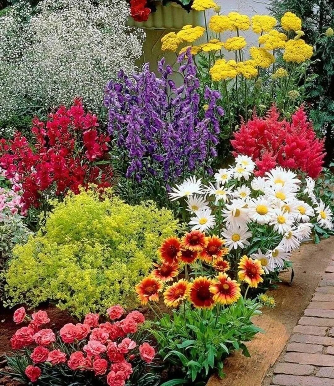 Каталог цветов для дачи с фото Pin on Small garden design in 2024 Flower garden design, Perennial garden, Beaut