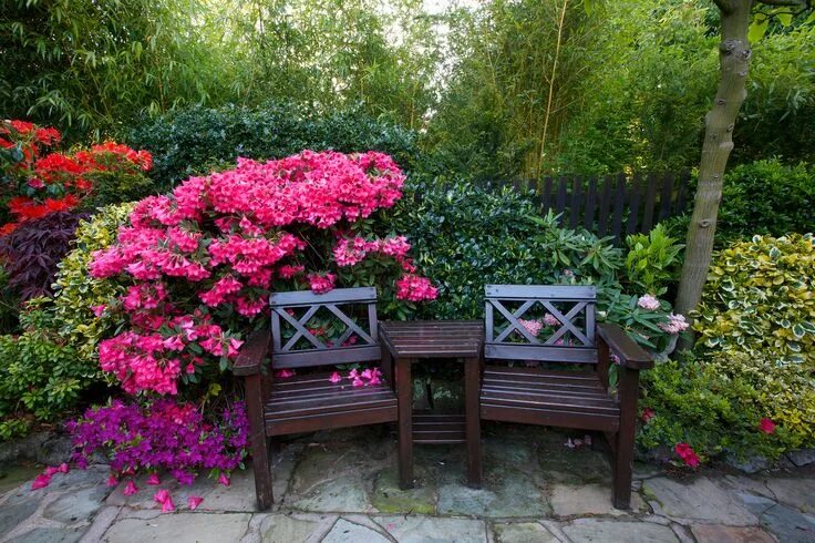 Каталог цветов для сада фото Seat amongst the rhododendron and azalea flowers Azalea flower, Garden landscape