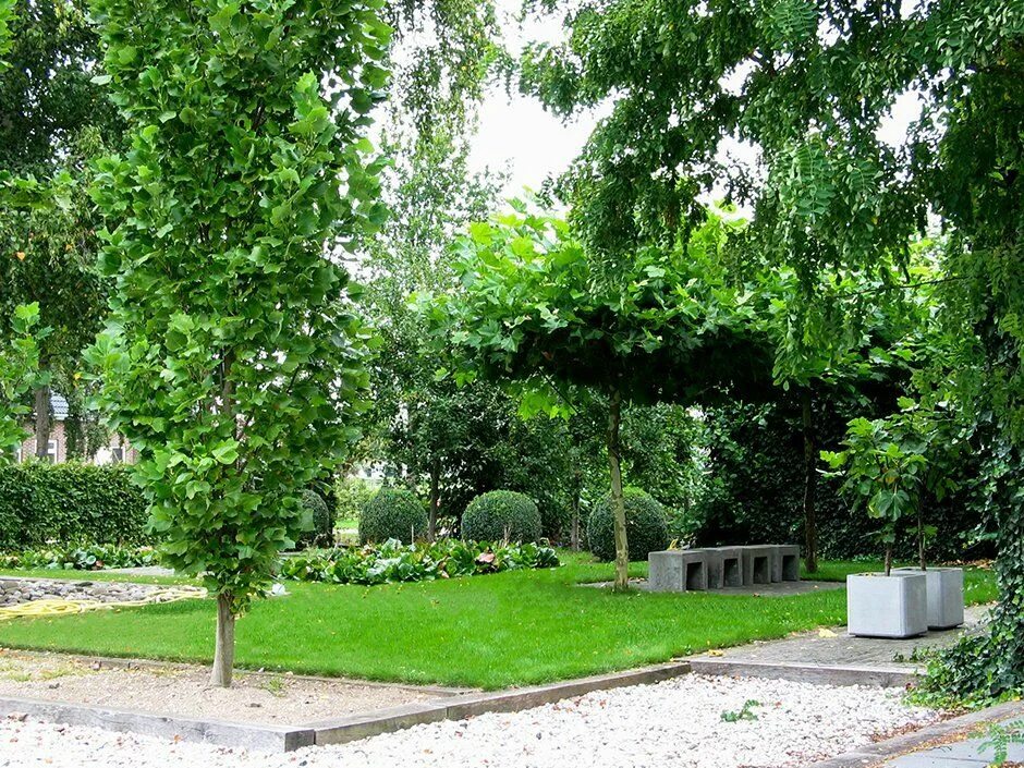 Катальпа в ландшафтном дизайне Landeliijke voortuin met dakplaten een gazon en bomen (met afbeeldingen) Tuin, V