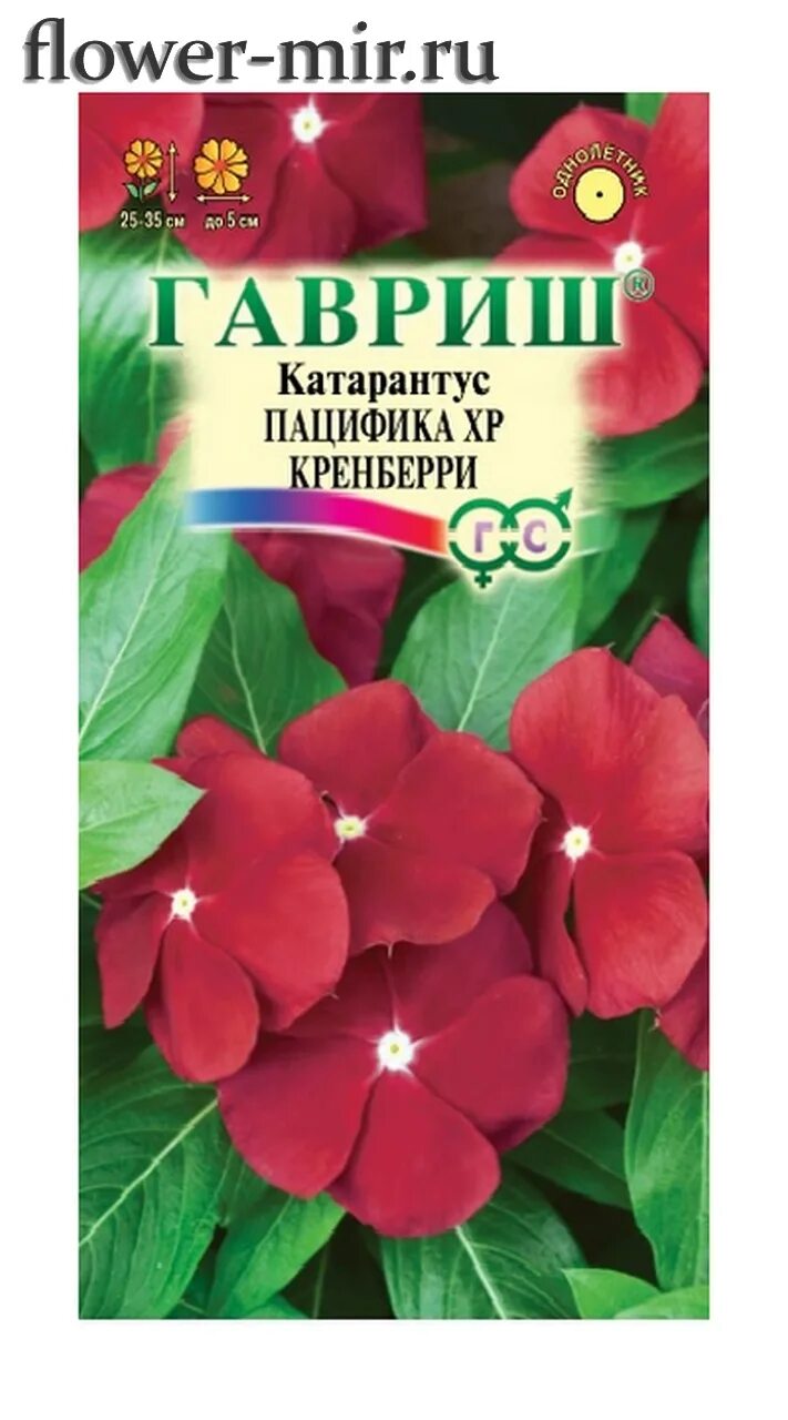 Катарантус семена фото Катарантус Пацифика XP Кренберри 7 шт. серия Элитная клумба Гавриш купить Интерн