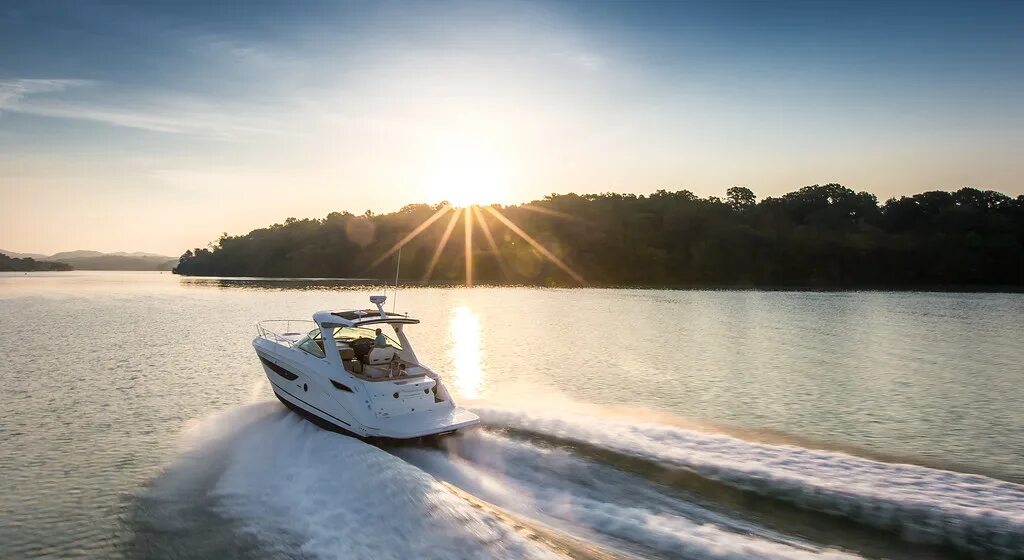 Катер на реке фото Sundancer 350 Hardtop - searay