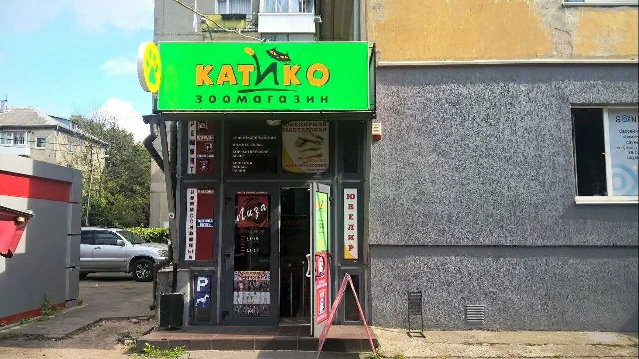 Катико ул космонавта леонова 64а фото Katiko, pet store, Russia, Kaliningrad, Kosmonavta Leonova Street, 52 - Yandex M