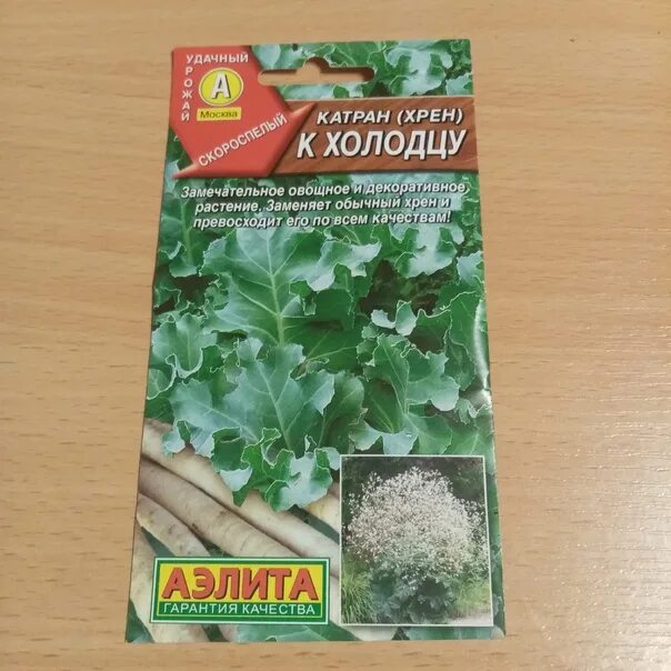 Катран семена фото Всем привет! В этом году наткнулась на такую интересную культуру как катран, реш