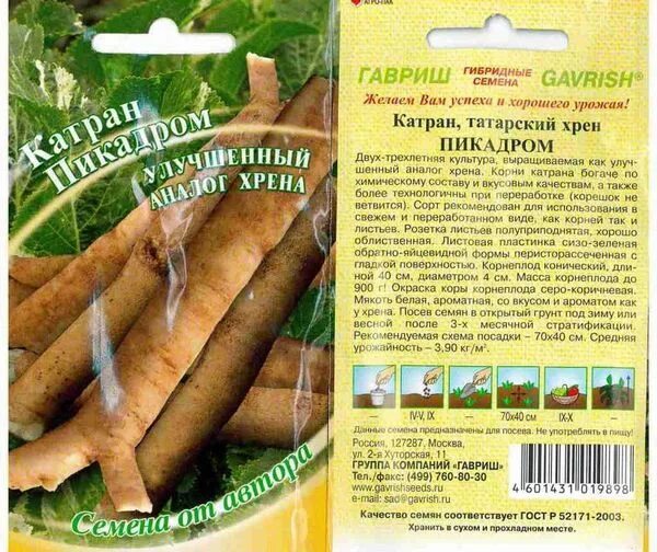 Катран семена фото Ответы Mail.ru: Может ли катран заменить хрен? Как он вообще по вкусу, сильно от