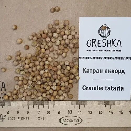 Катран семена фото 58 отзывов на Катран аккорд (хрен татарский) семена (15 ШТ) от покупателей OZON