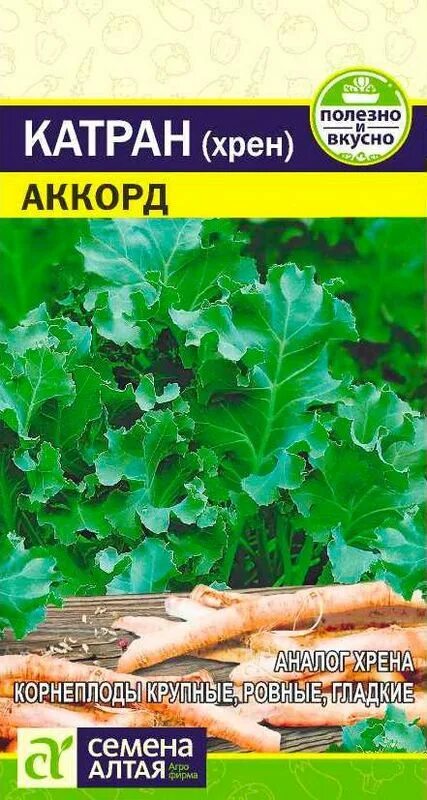 Катран семена фото Семена Катран (Хрен) Аккорд: описание сорта, фото - купить с доставкой или почто