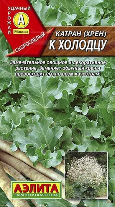 Катран семена фото Семена Катран (хрен) к Холодцу: описание сорта, фото - купить с доставкой или по