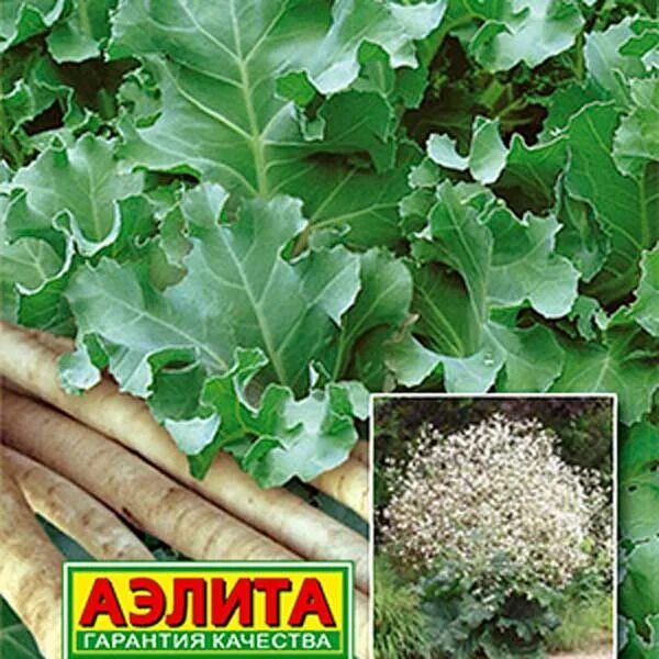 Катран семена фото Катран (хрен) к Холодцу, 0,3 г, купить в интернет магазине Semenapost.ru