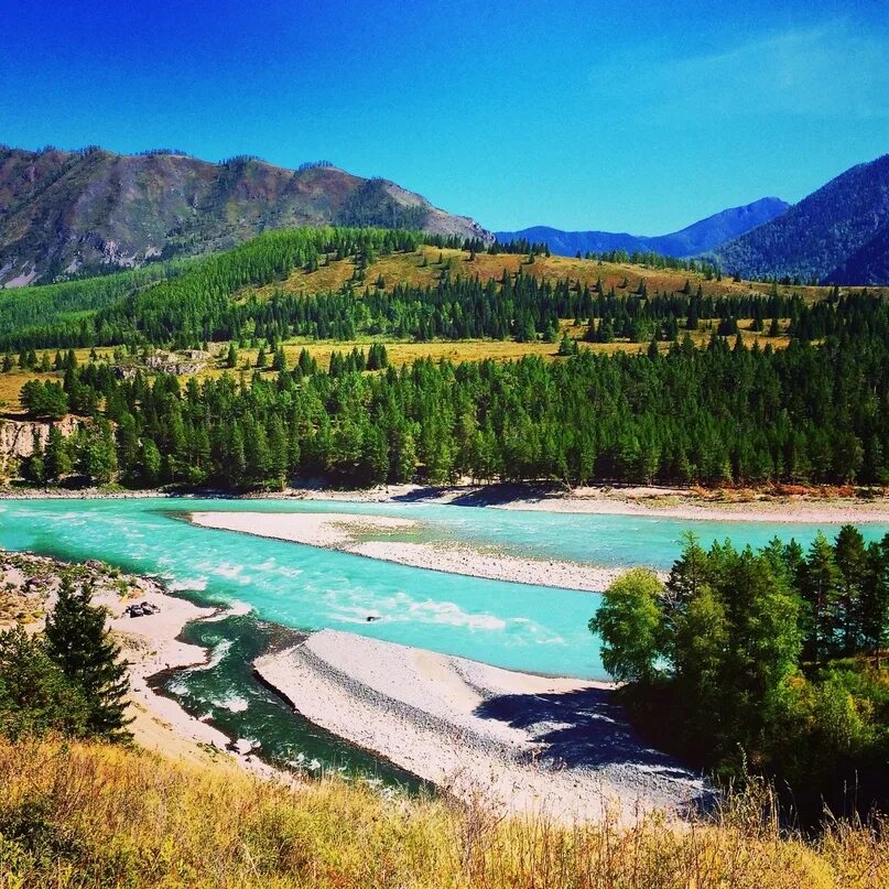 Катунь алтайский край фото Katun. One of the largest rivers in Altai. 2023 ВЕЛИКАЯ СИБИРЬ VK