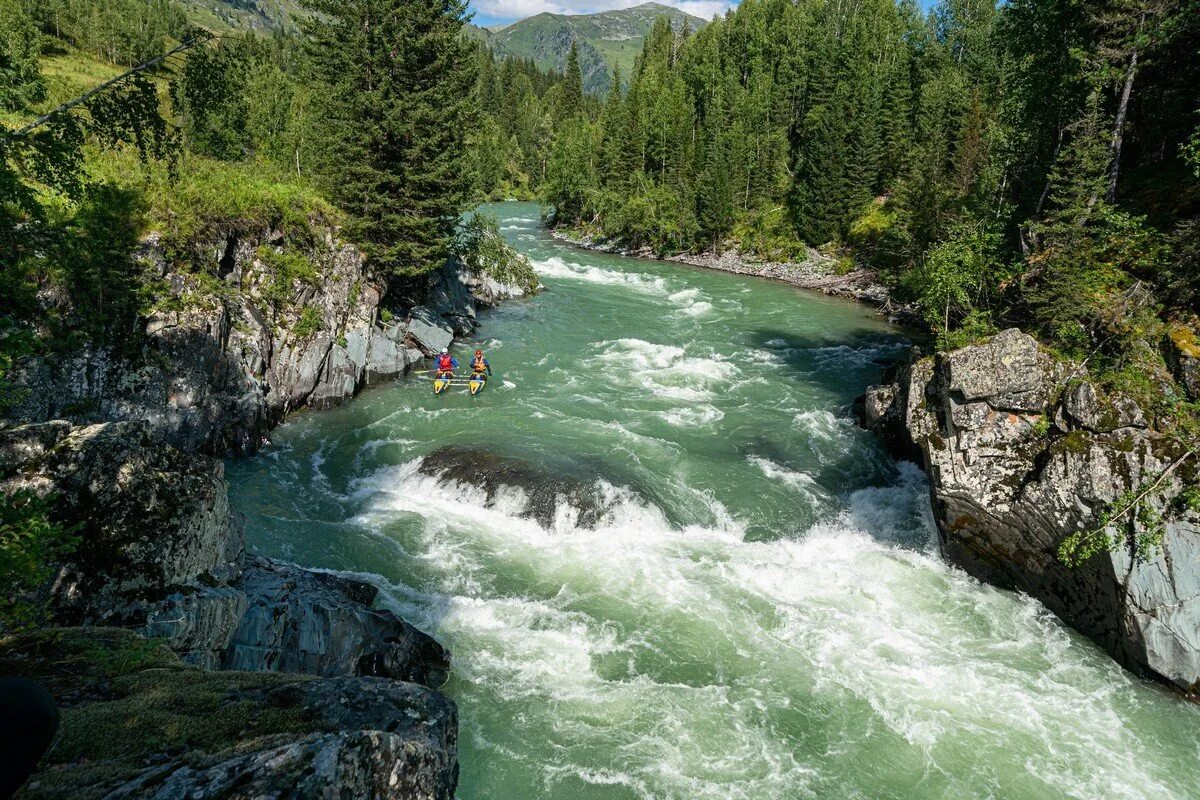 Катунь алтайский край фото Красавица Катунь Я с Алтая Дзен