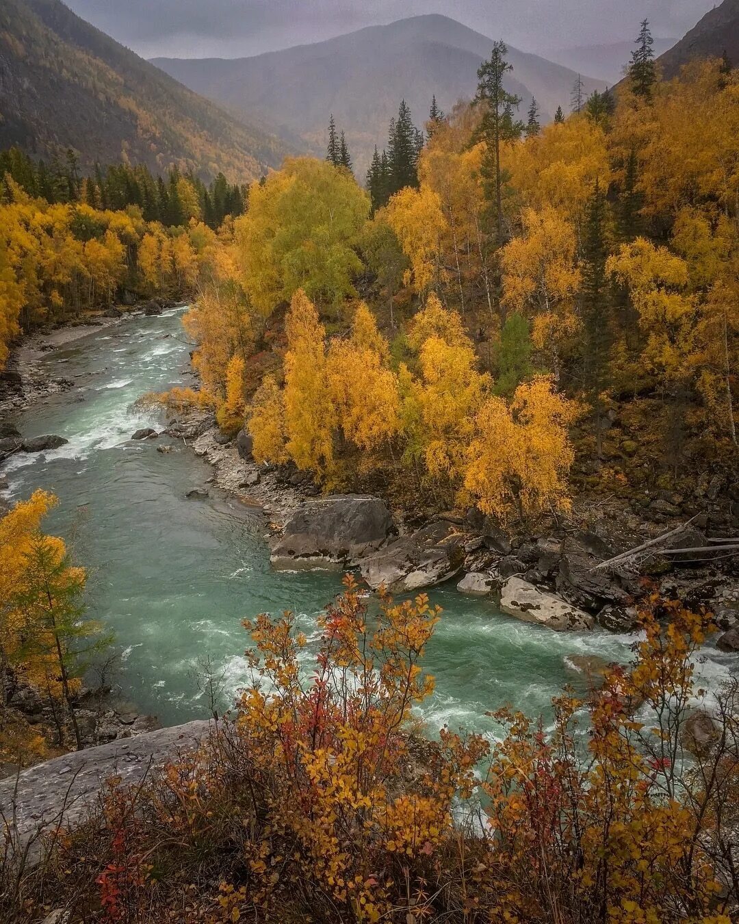 Катунь осенью фото Pin on *Nature Nature, Outdoor, River