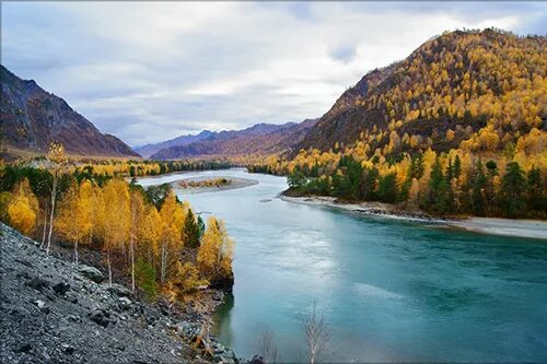 Катунь осенью фото День туризма