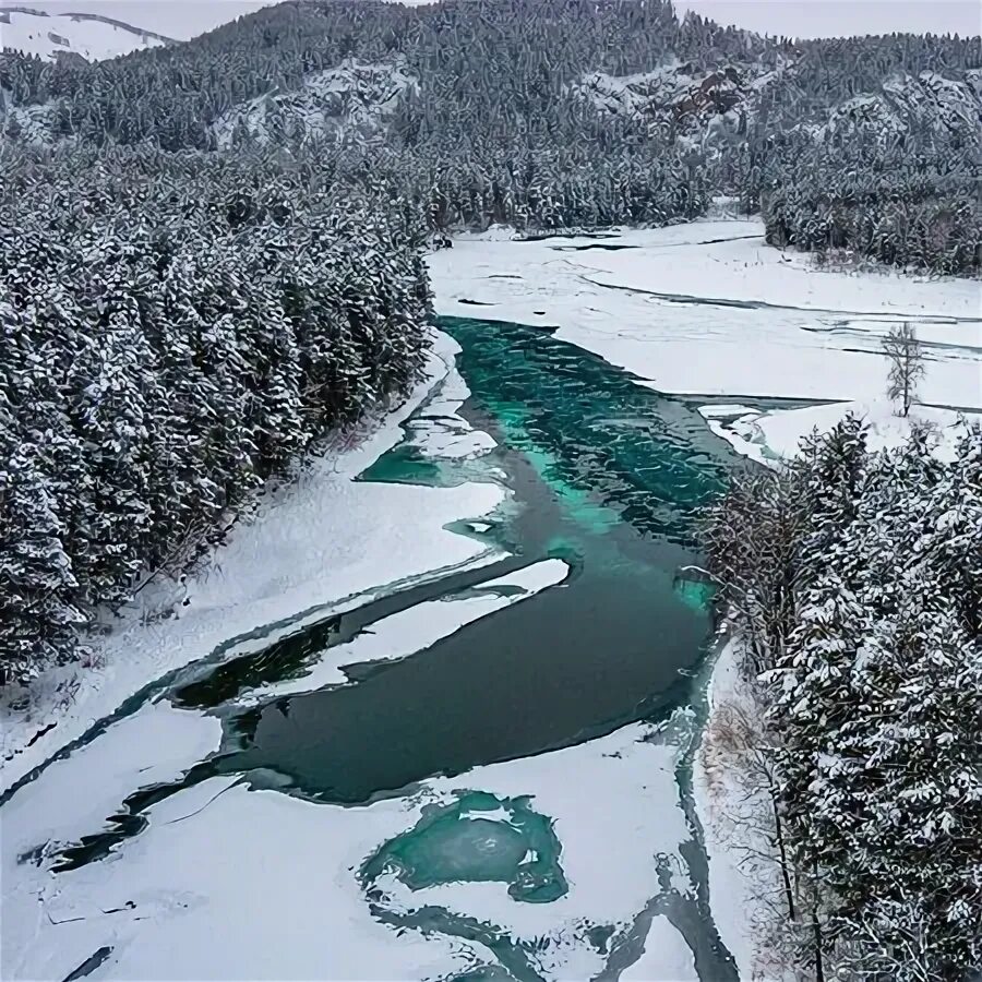 Катунь река зимой фото Изумрудная , зимняя красавица Катунь - Picture of Altai Krai, Siberian District 