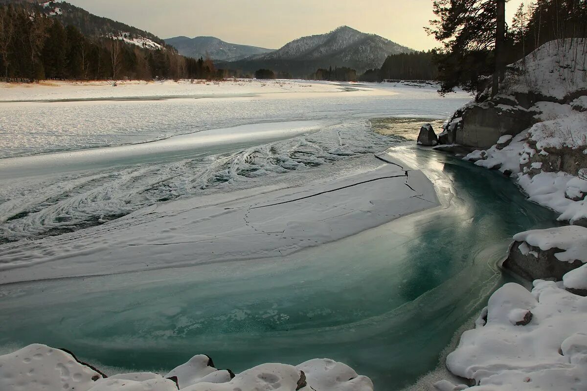 Катунь река зимой фото Катунь. Укутываясь тёплым одеялом до весны.. Фотограф Эбель Алексей