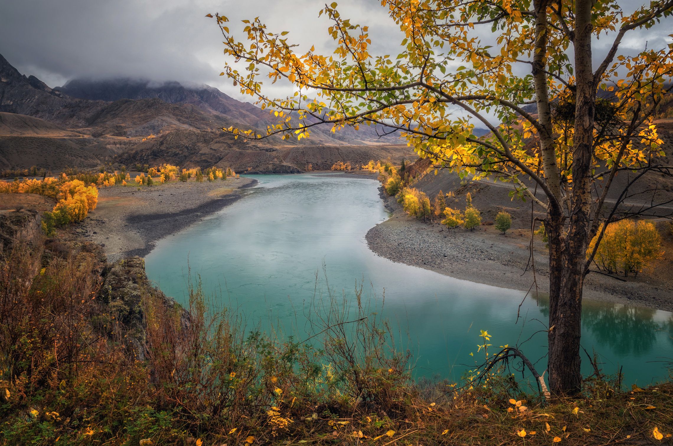 Катунь в сентябре фото Над Катунью.... Фотограф Lora Pavlova