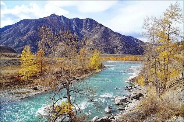 Катунь в сентябре фото The Katun River in October. Altai. Siberia. #красотыРоссии РУССКОЕ ОБОЗРЕНИЕ РОС