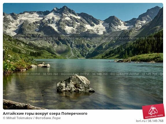 Катунский биосферный заповедник фото Алтайские горы вокруг озера Поперечного. Стоковое фото № 38149768, фотограф Miha