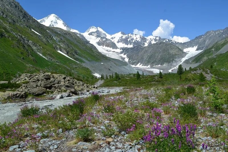 Катунский заповедник фото Горный Алтай: бизнес вместо браконьерства