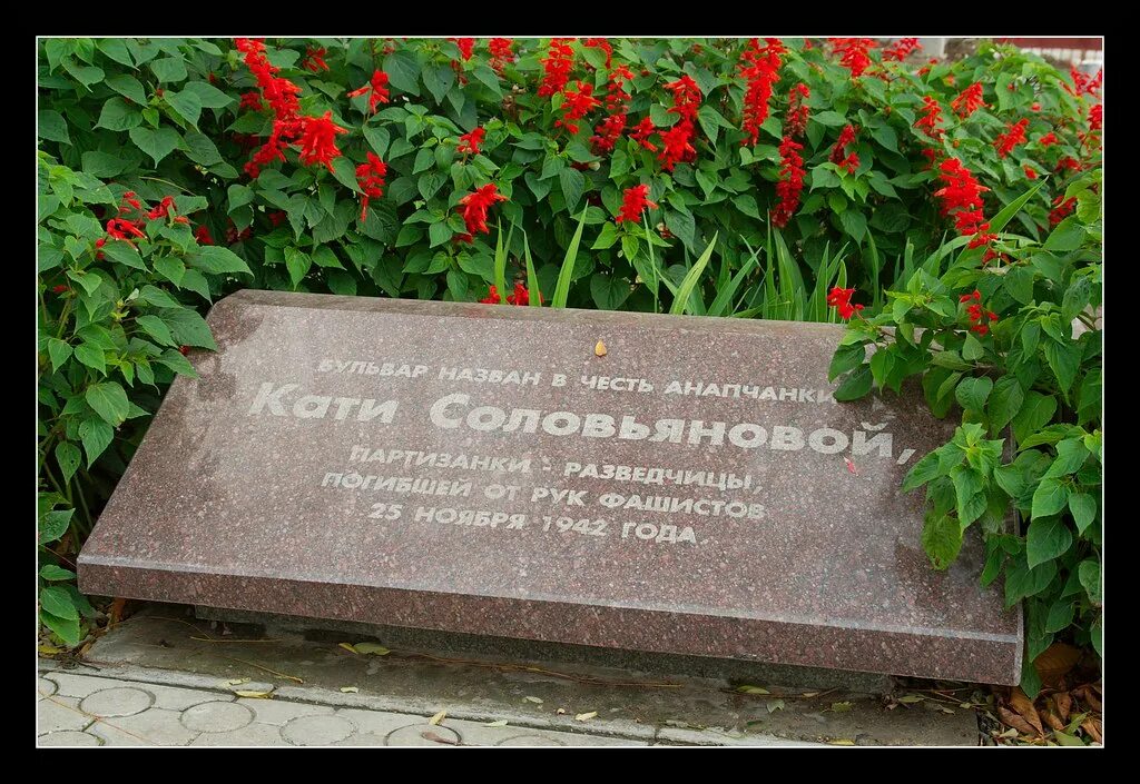 Катя соловьянова анапа подвиг фото Памяти Кати Соловьяновой / In memory of Katya Solovyanova Flickr