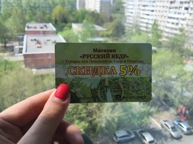 Кедр ежевичная ул 2 хабаровск фото Русский кедр, компания, улица Промышленная, 11, Хабаровск - 2ГИС