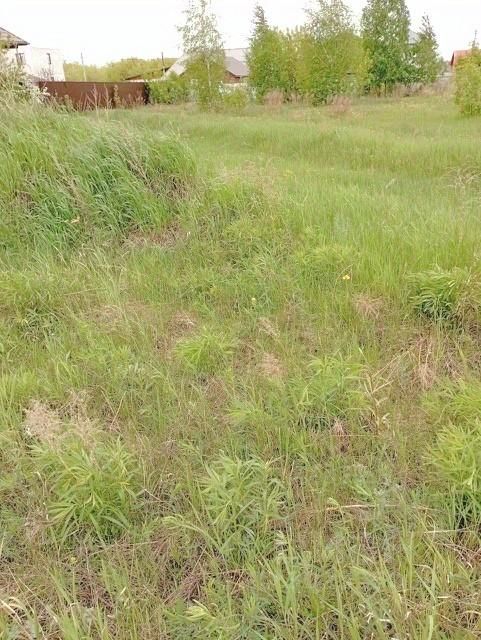 Кедр первомайская ул 87 фото Продажа участка 7сот. Новосибирская область, Новосибирск, р-н Первомайский, Кедр