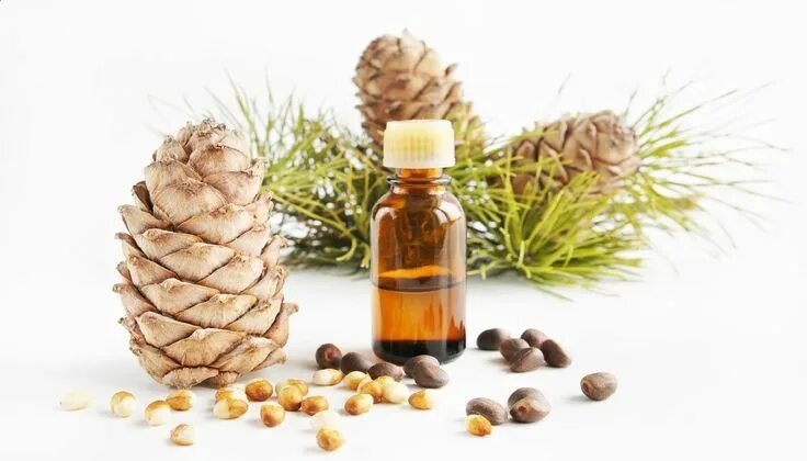 Кедровое масло фото The Best Uses of Cedarwood Essential Oil Essential oils for hair, Cedarwood esse