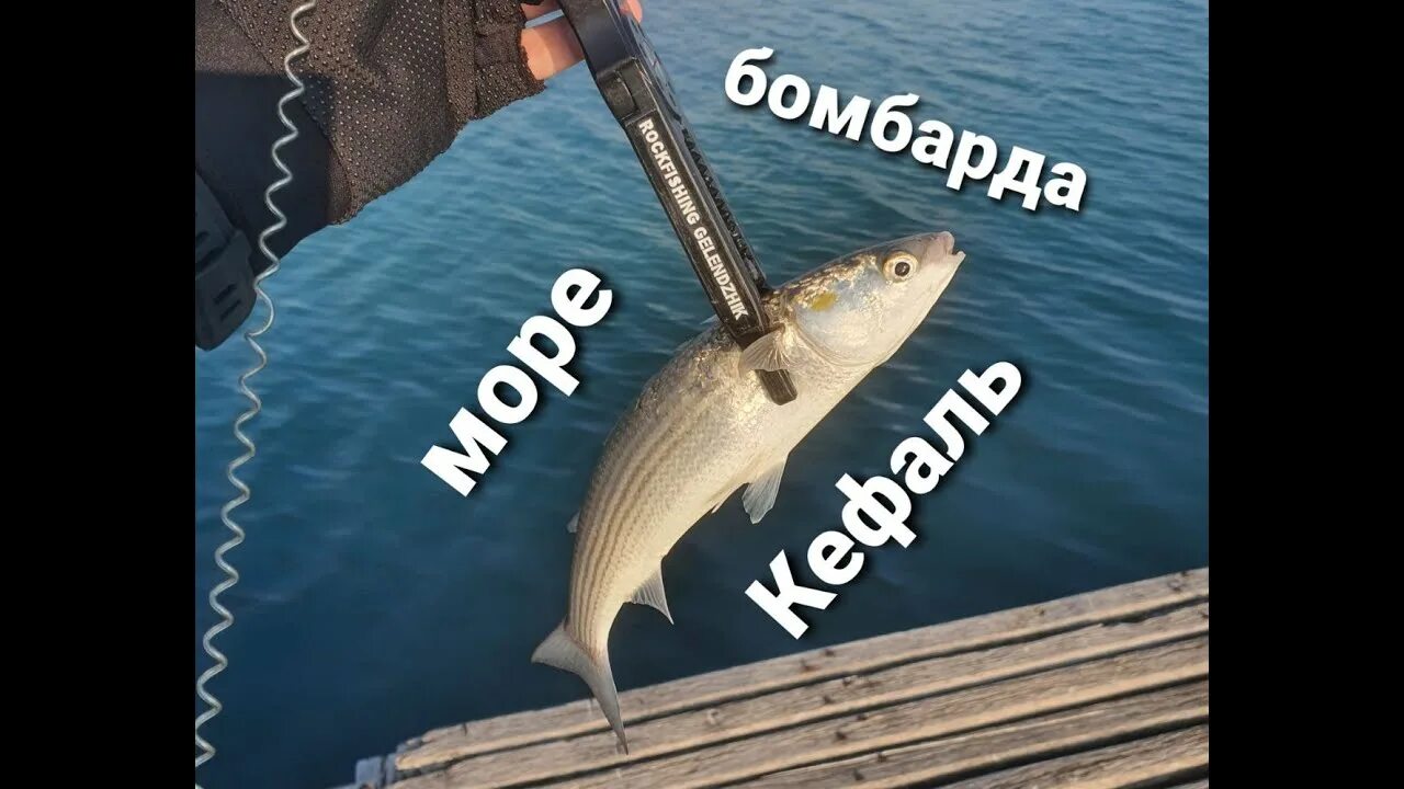 Кефаль черноморская на что ловить Море, бомбарда, кефаль. - YouTube