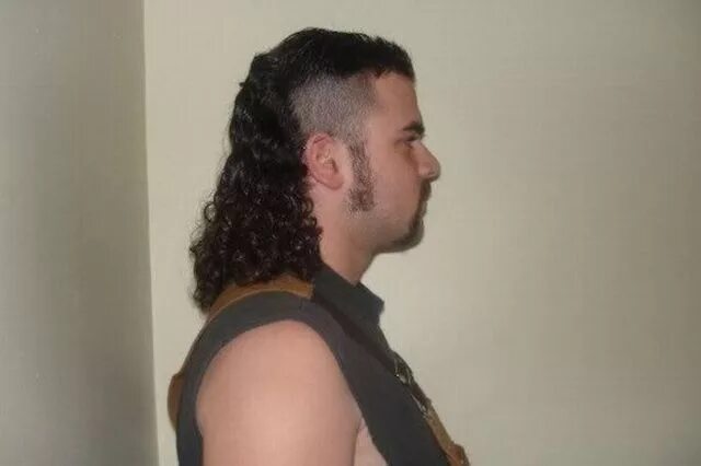 Кефаль прическа мужская Американская прическа Mullets (37 фото)