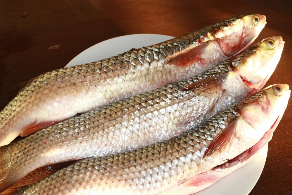Кефаль в черном море фото Как я запекаю кефаль Магия вкуса Дзен