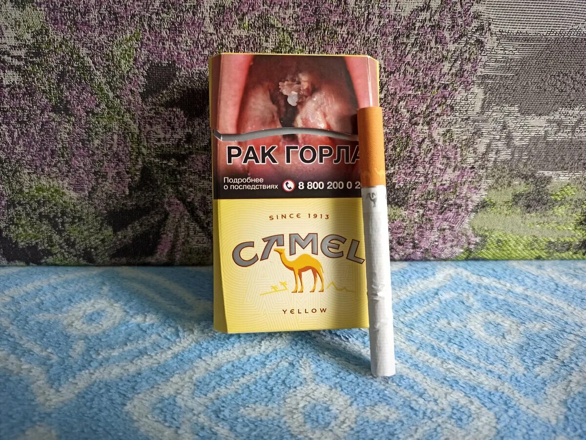 Кемел оригинал желтый фото Каков русский "Самец" в 2021? Курим желтый Camel Макс Фрунзе Дзен