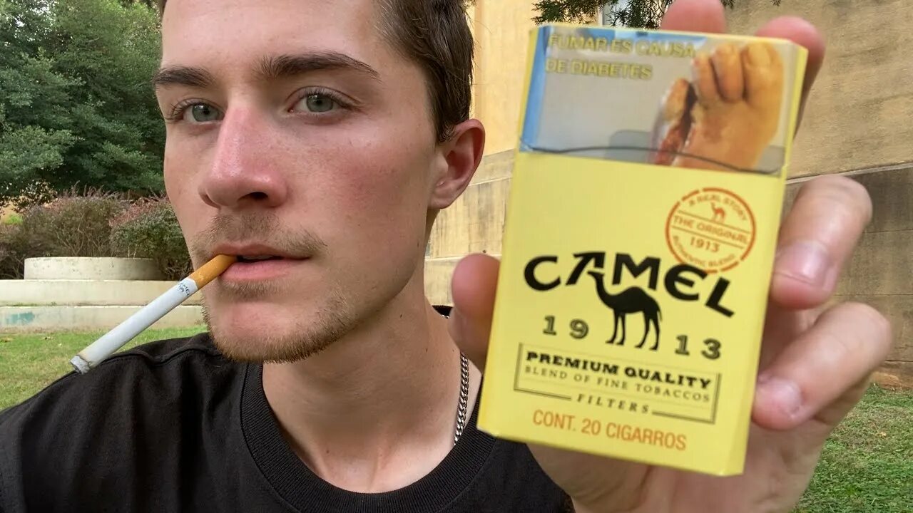 Кемел оригинал желтый фото Smoking a Camel Yellow "1913 Authentic Blend" Cigarette - Review - YouTube