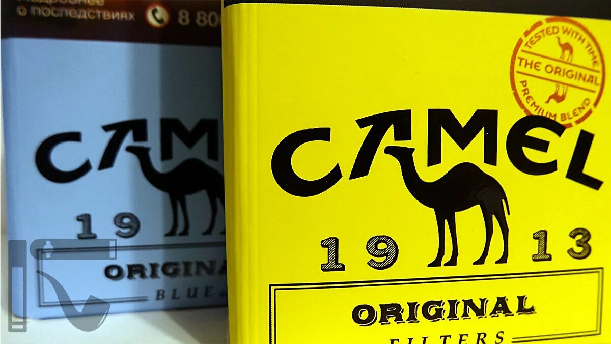 Кемел оригинал желтый фото Camel желтый: найдено 88 изображений