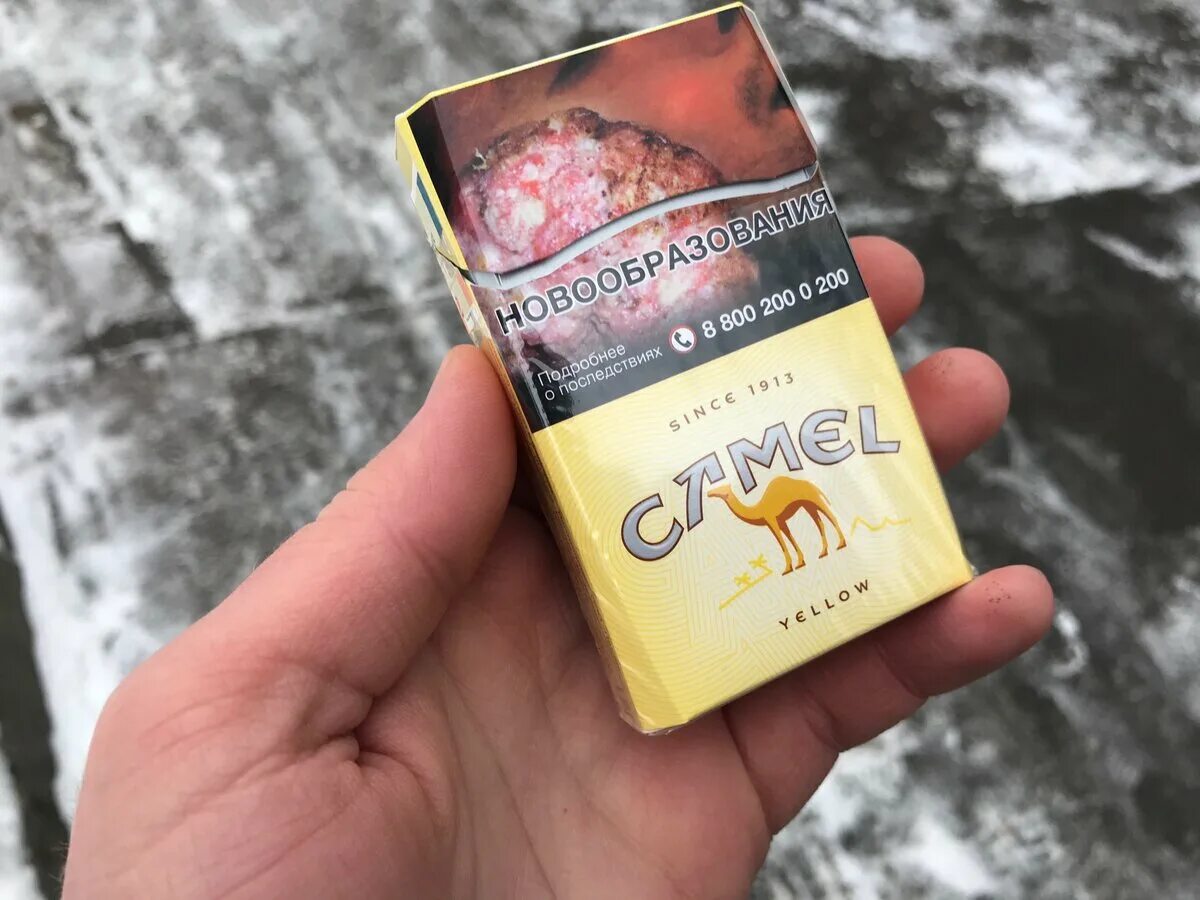Кемел оригинал желтый фото Весьма достойно!* Дегустация Camel Yellow Табачные истории Дзен