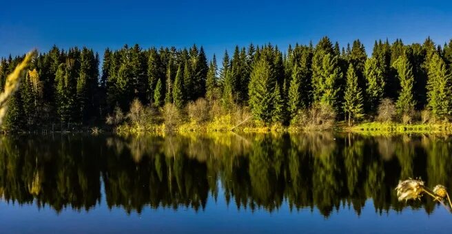 Кемерово природа фото Андреевка: карта с улицами, домами и организациями города - 2ГИС