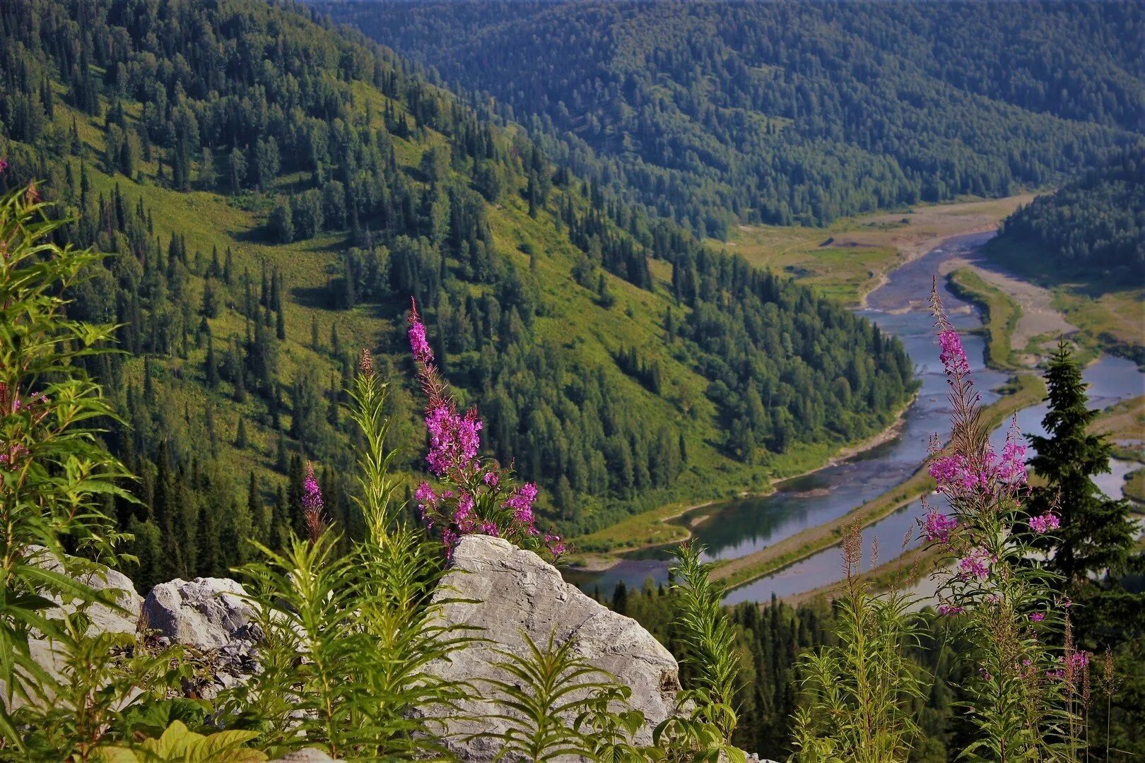 Кемеровская область фото природы Кузнецкий алатау фото YugNash.ru