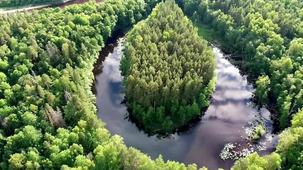 Керженский заповедник фото Экологический экскурс "Есть на свете красота - заповедные места" 2022, Бобровски