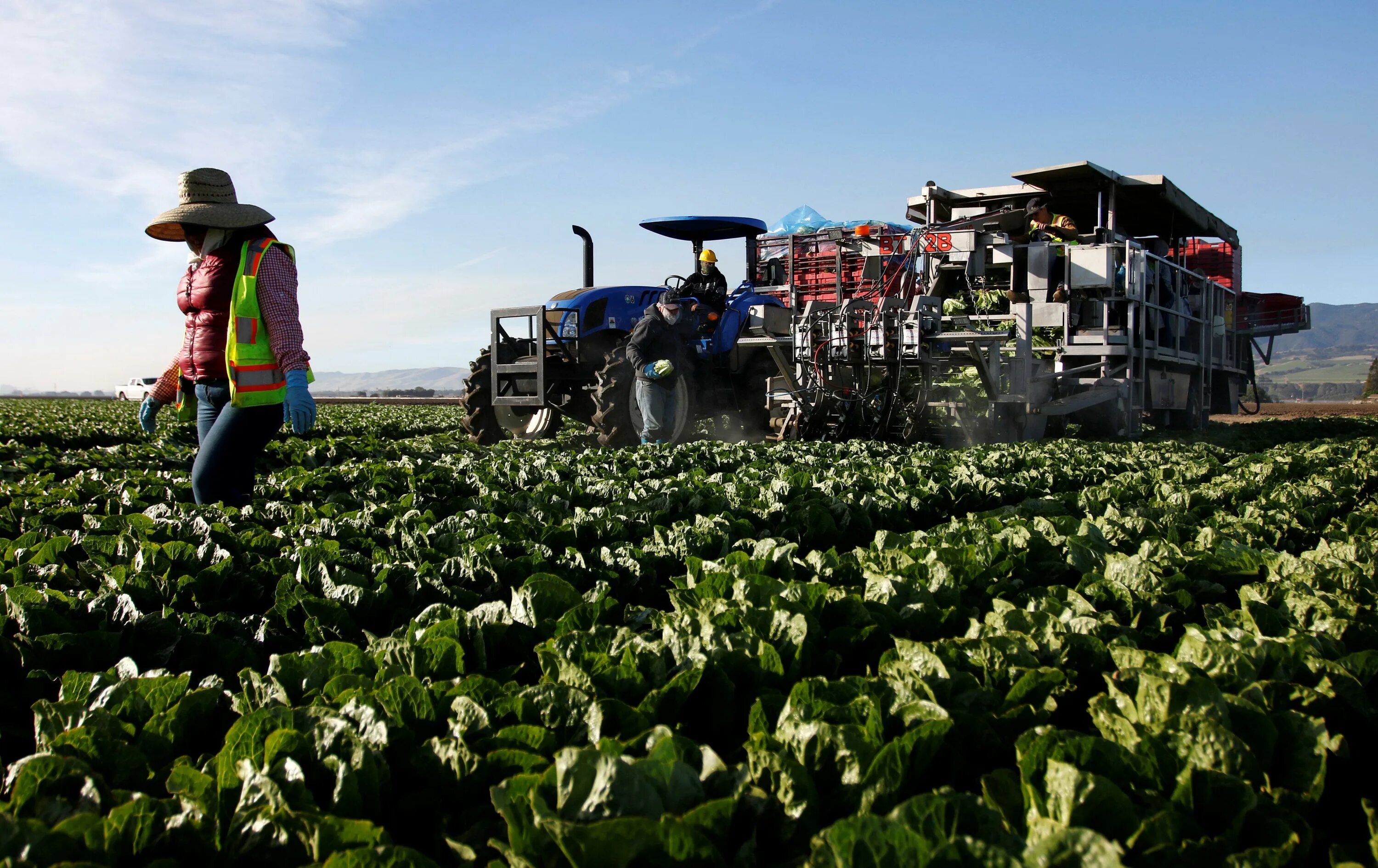 Кфх остров маршрут фото As Trump targets immigrants, U.S. farm sector looks to automate - Reuters