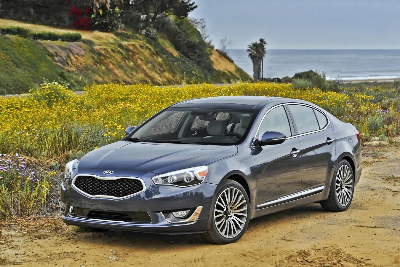 Киа 2015 фото 2015 Kia Cadenza Photos & Videos