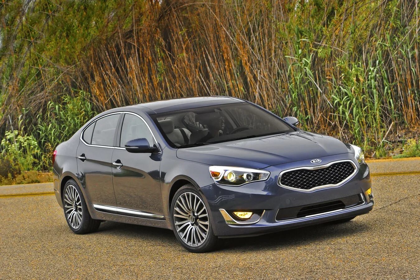 Киа 2015 цена фото 2015 Kia Cadenza Photos & Videos