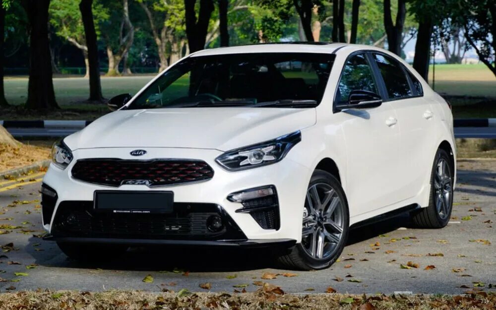 Киа gt line фото Петля двери (Петля двери задняя) Kia Cerato купить автозапчасти, объявления о пр