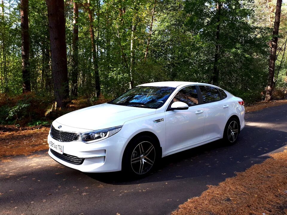 Киа к 5 белая фото Осень лес. - KIA Optima (4G), 2 л, 2017 года фотография DRIVE2