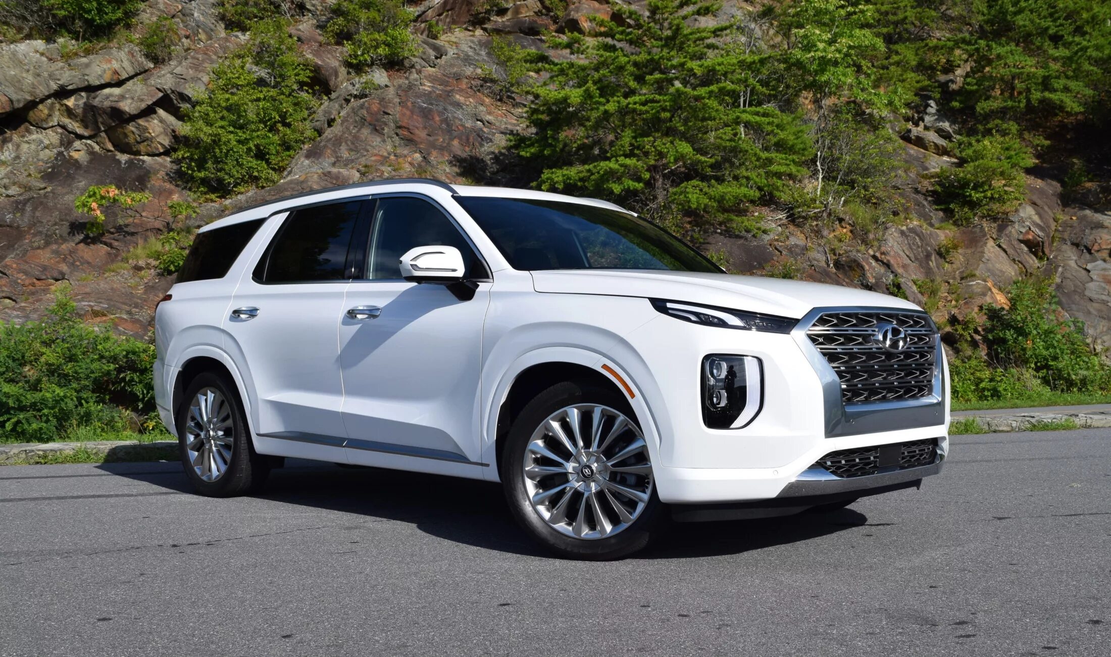 Киа полисад фото 2020 Hyundai Palisade Asheville NC (18)