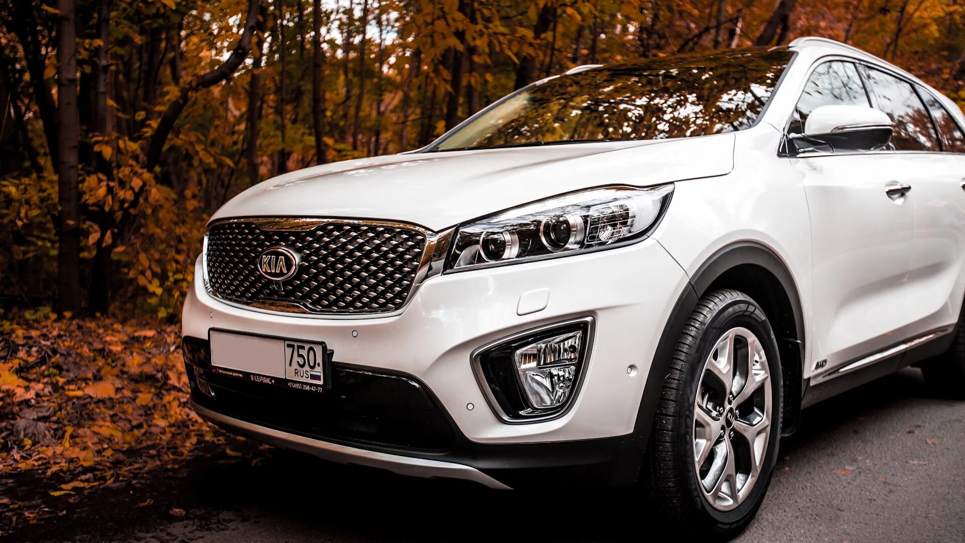 Киа прайм фото KIA Sorento (3G) 2.2 дизельный 2017 Prime на DRIVE2