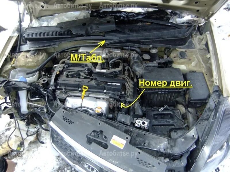 Киа рио где номер двигателя фото Где номер двигателя киа спектра LkbAuto.ru