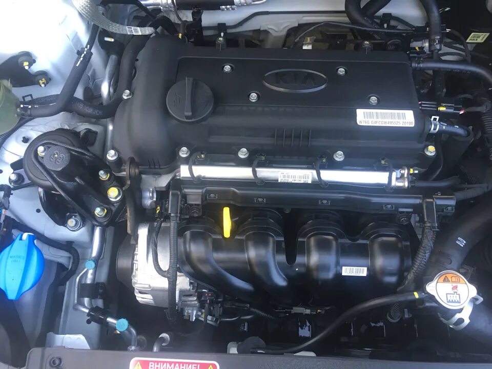 Киа рио где номер двигателя фото Киа Рио 3 мойка мотора - KIA Rio (3G), 1,6 л, 2016 года мойка DRIVE2
