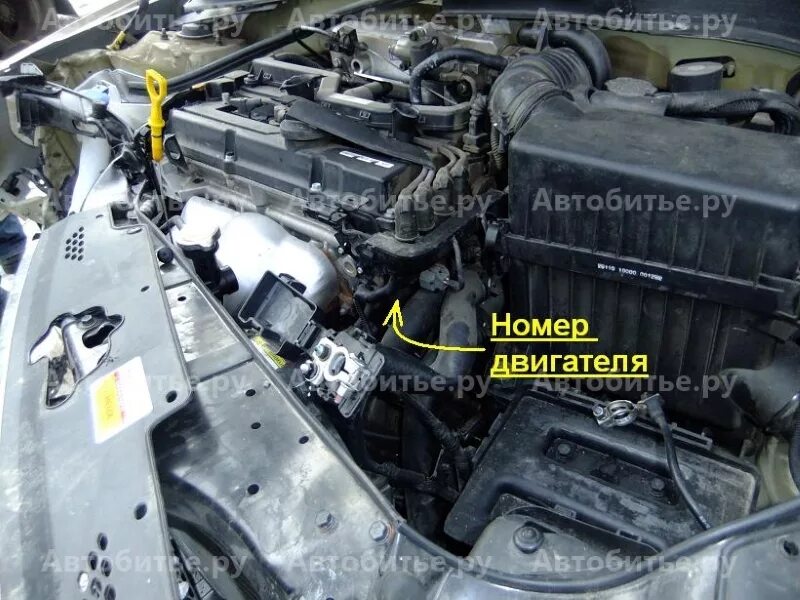 Киа рио где номер двигателя фото Номер двигателя киа рио 2012 LkbAuto.ru