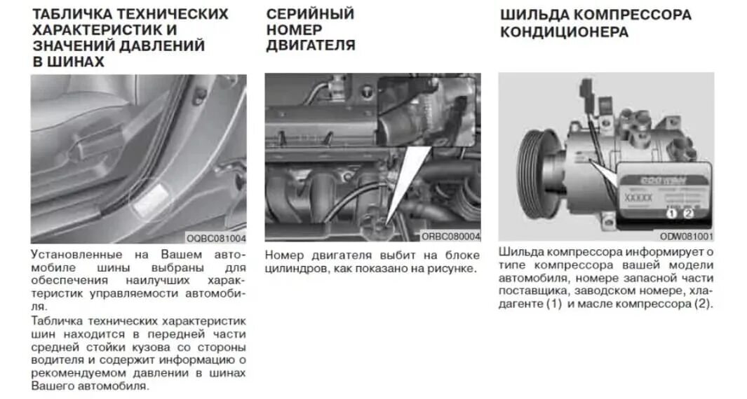 Киа рио где номер двигателя фото Где находится VIN - номер Kia Rio, Ceed, Cerato, Sportage, Optima и других модел