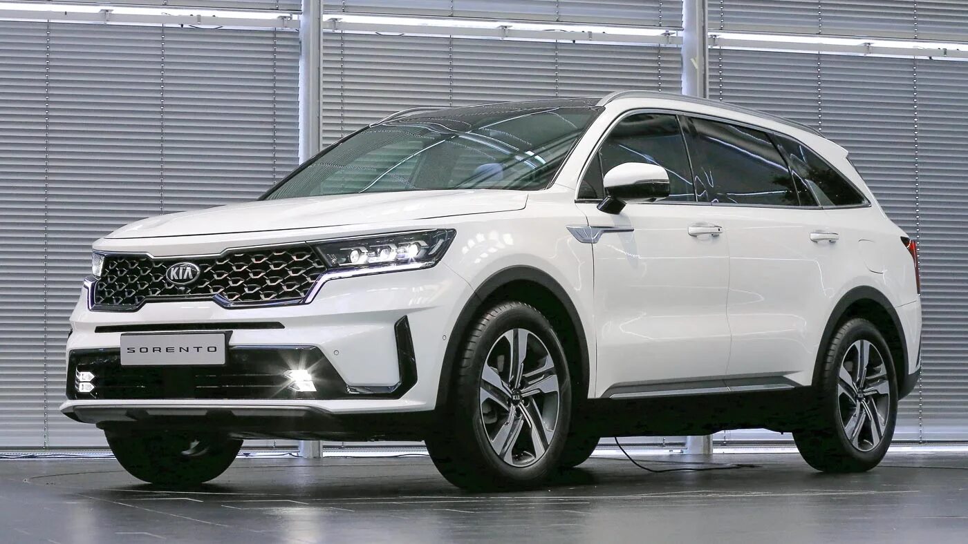 Киа соренто 2022 фото This is the meanest the Kia Sorento has ever looked! - AutoBuzz.my